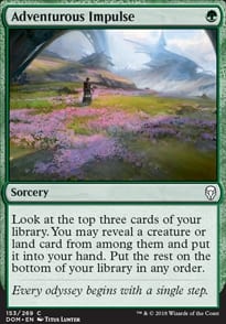 Adventurous Impulse