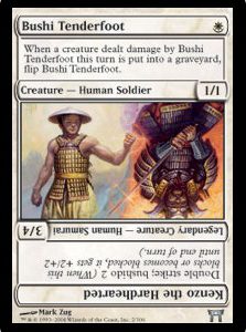 CHK0031.jpeg Bushi Tenderfoot