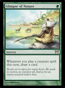 CHK2191.jpeg Glimpse of Nature