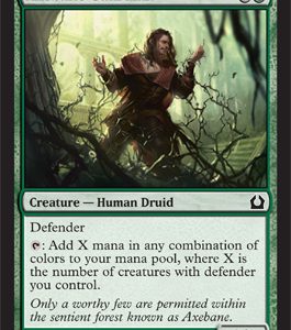 RTR1161.jpg Axebane Guardian